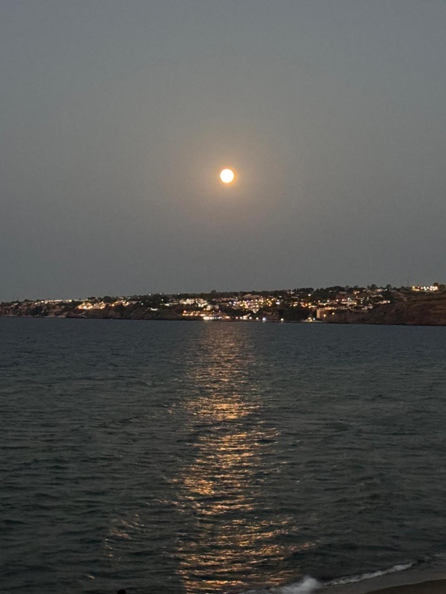 Vila Paradiso Fronte Mare Agnone Bagni Exteriér fotografie